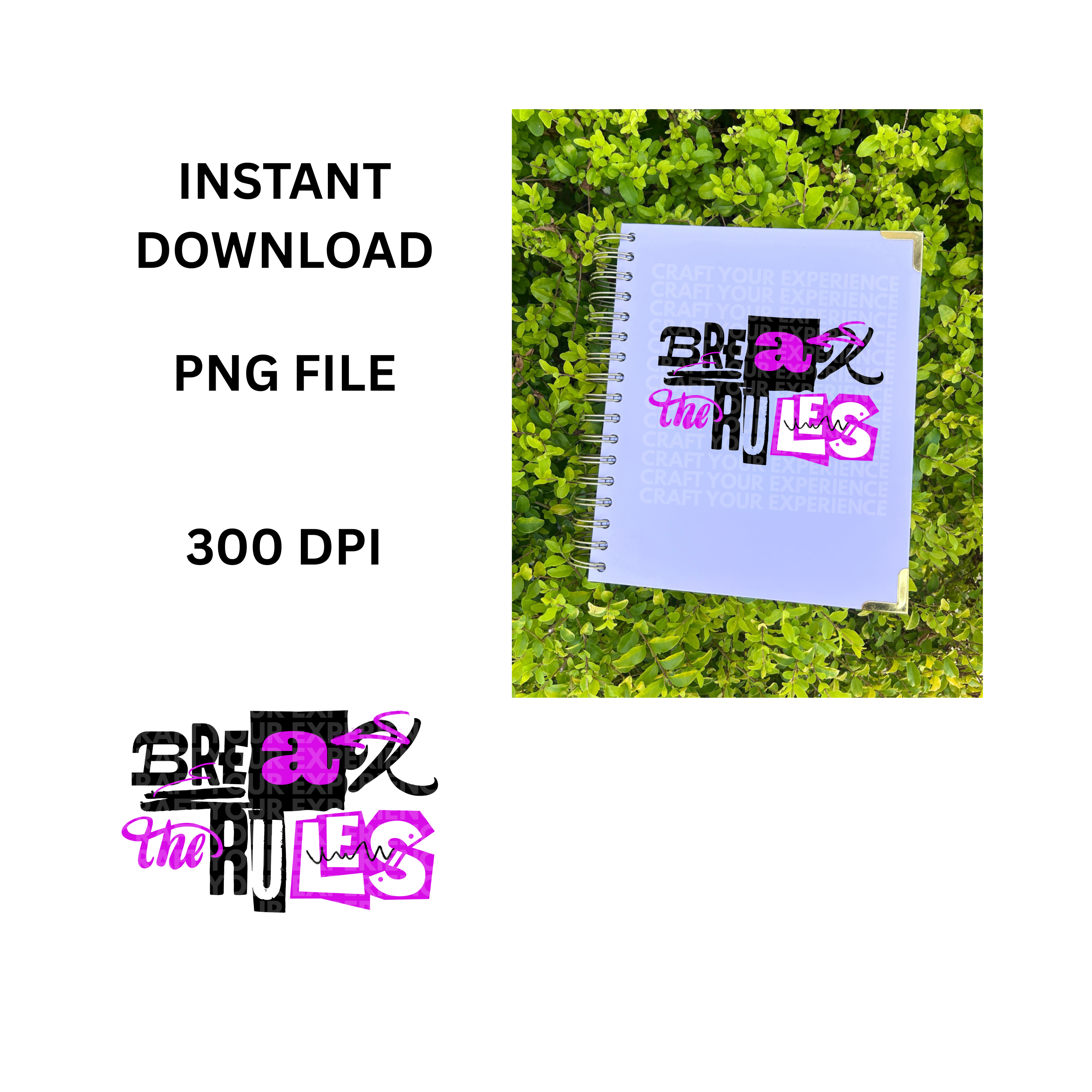 Break the Rules PNG, Bold Crafting Quote Design, Cricut Sublimation File, Craft Room Wall Art Digital PNG